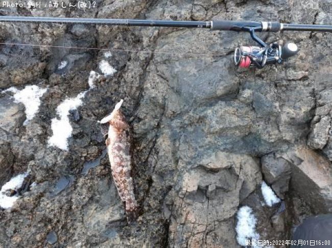 �����ʥ�