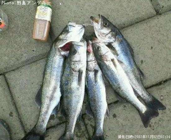 �����Х�