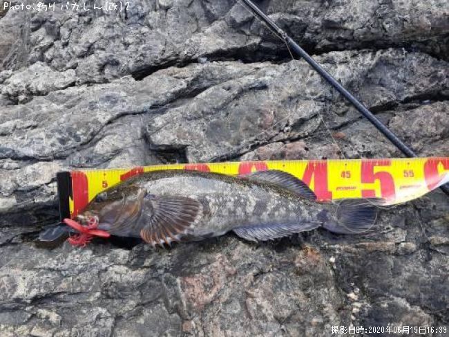 �����ʥ�