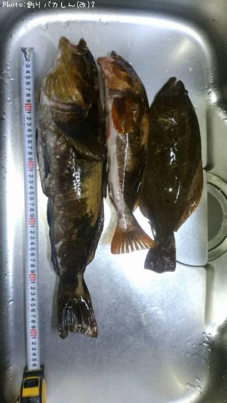 �����ʥ�