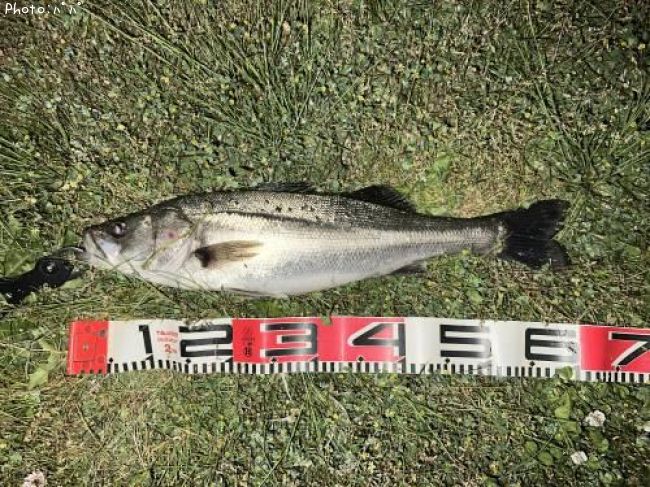 �����Х�