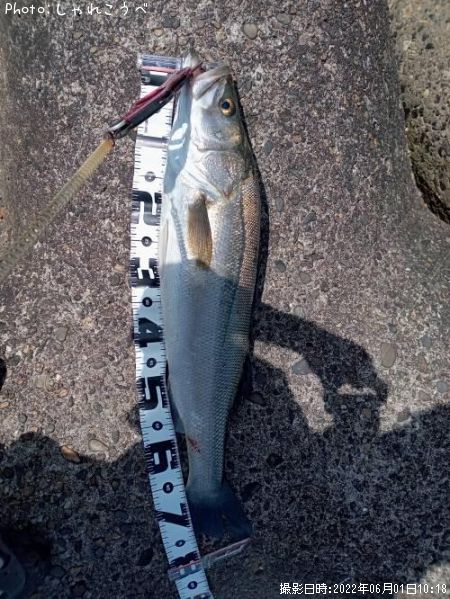 �����Х�