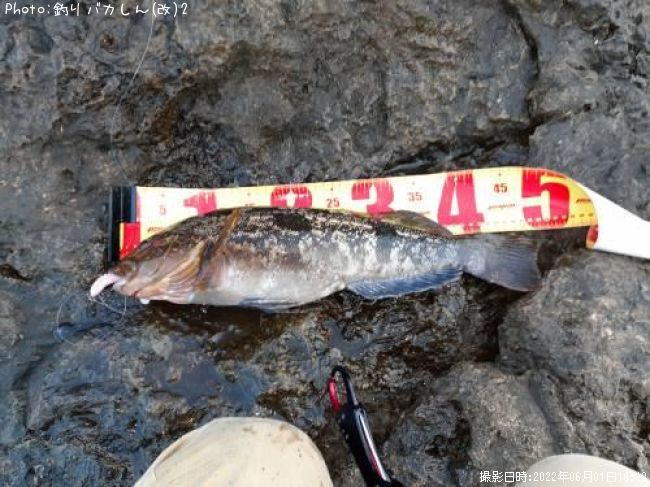 �����ʥ�