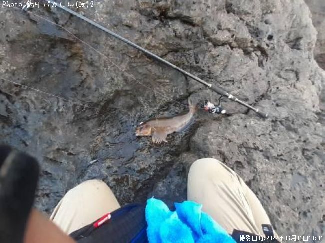 �����ʥ�