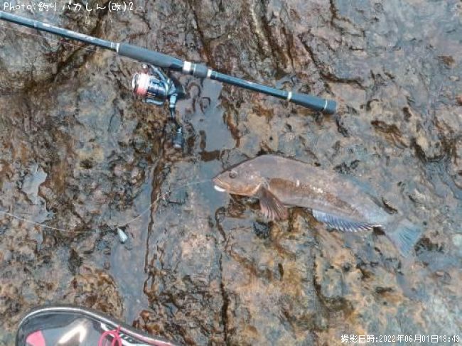 �����ʥ�