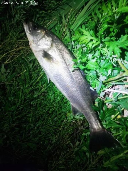 �����Х�