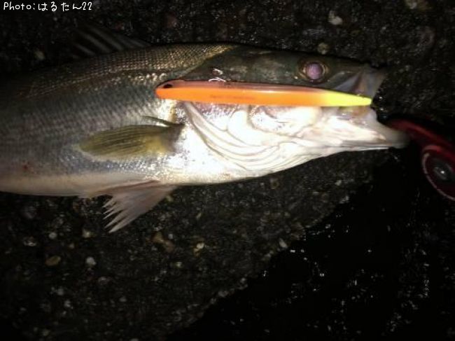 �����Х�