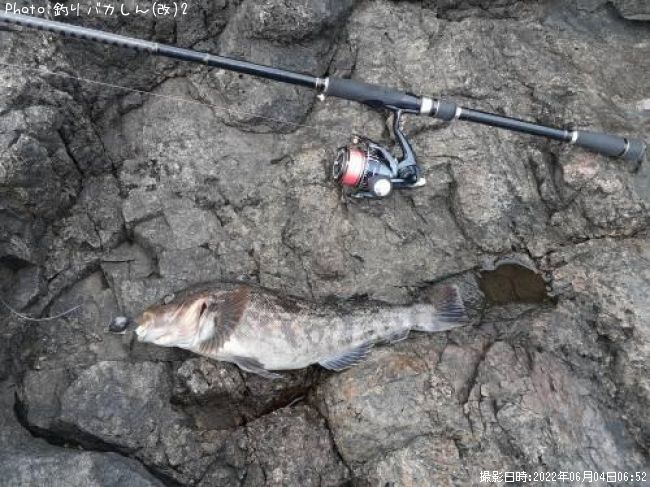 �����ʥ�