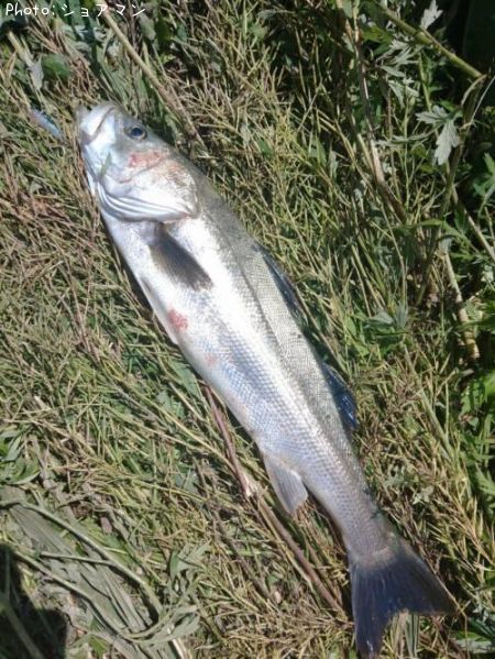 �����Х�