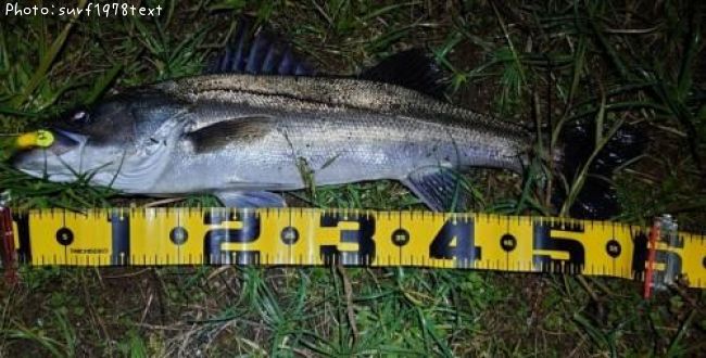 �����Х�