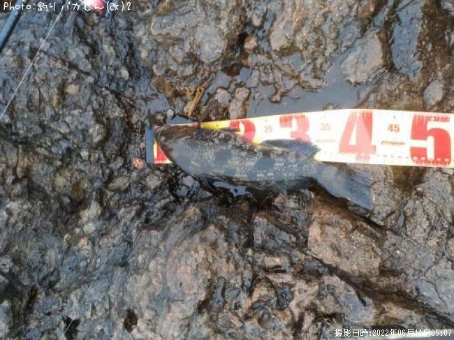 �����ʥ�