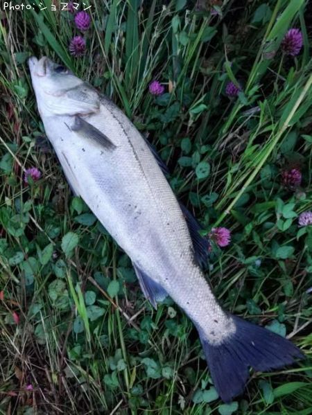 �����Х�