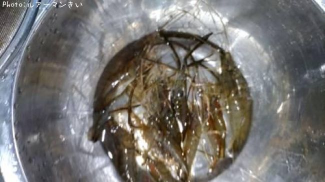 �ƥʥ�����