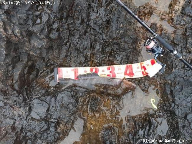 �����ʥ�