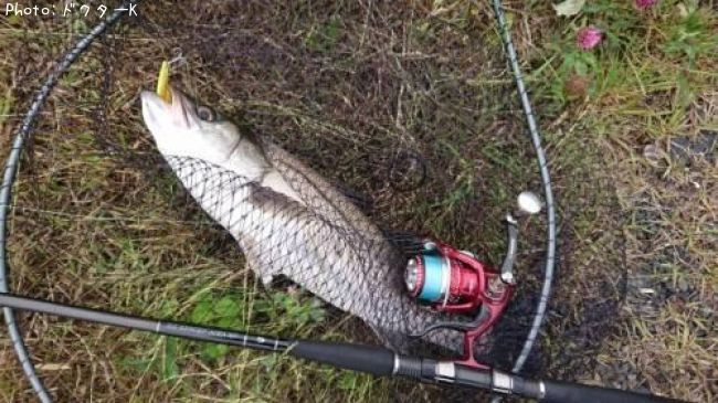 �����Х�