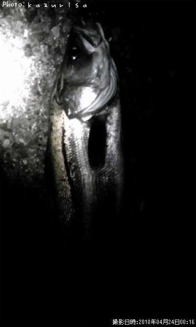 �����Х�