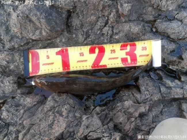 �����ʥ�