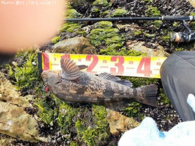 �����ʥ�