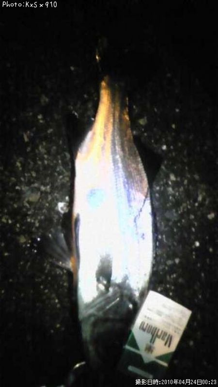 �����Х�