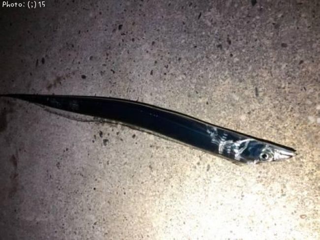 ������������������������������