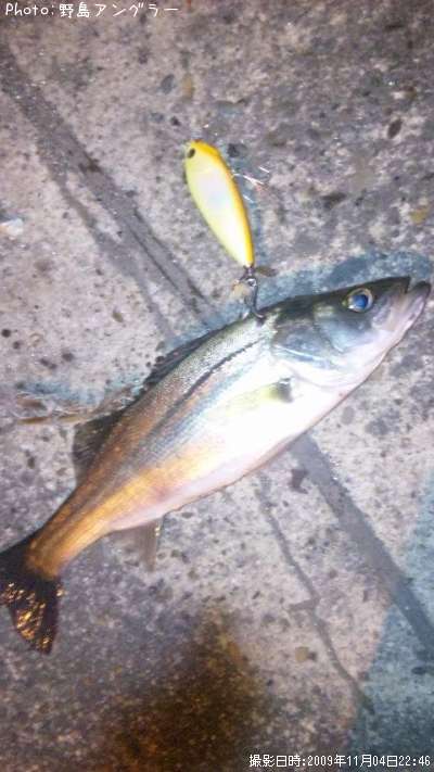 �����Х�