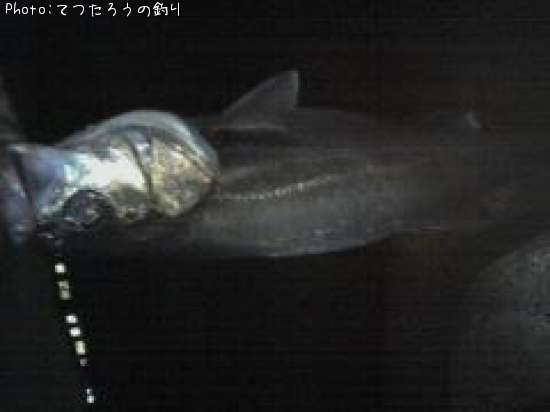 �����Х�