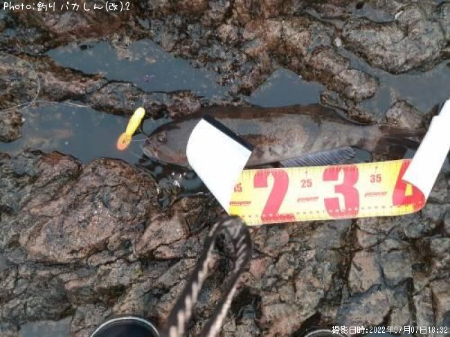 �����ʥ�