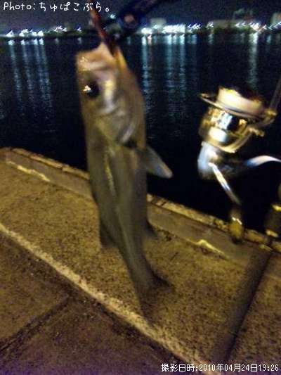 �����Х�