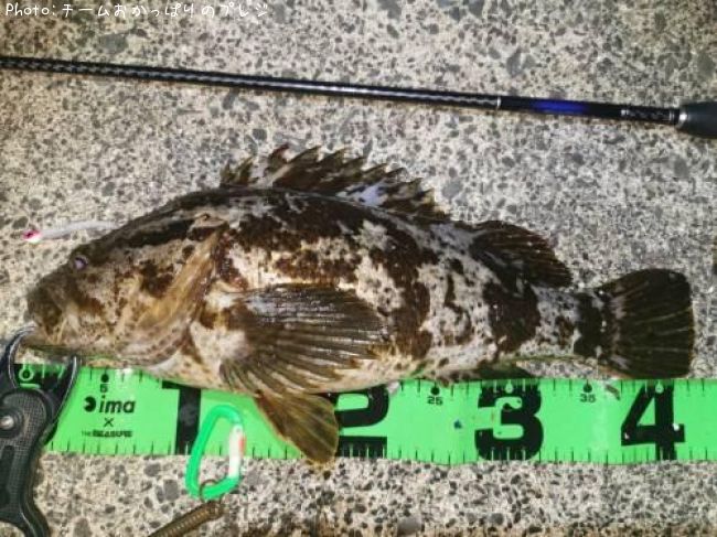 �����Υ���Х�