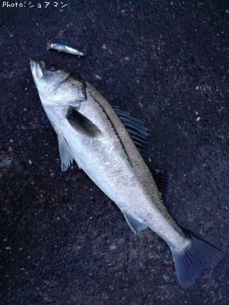 �����Х�