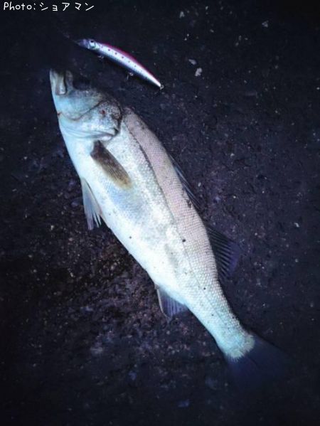 �����Х�