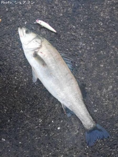 �����Х�