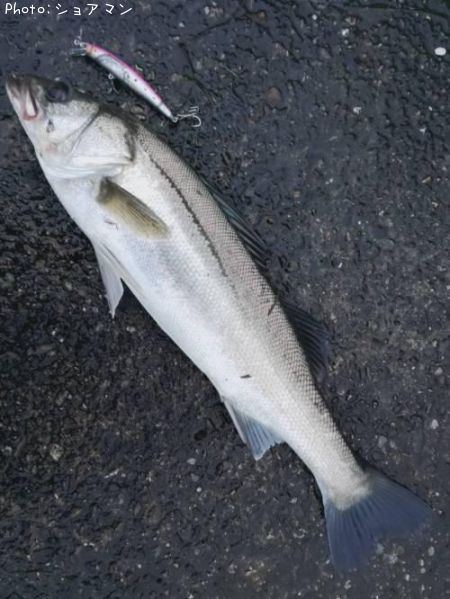 �����Х�