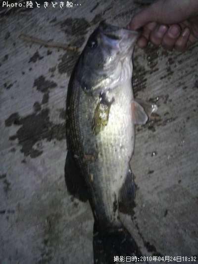 �֥�å��Х�