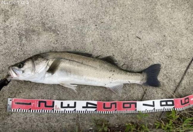 �����Х�