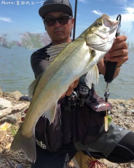 �����Х�