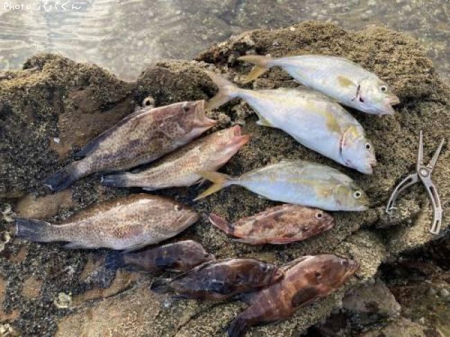 �������ϥ�