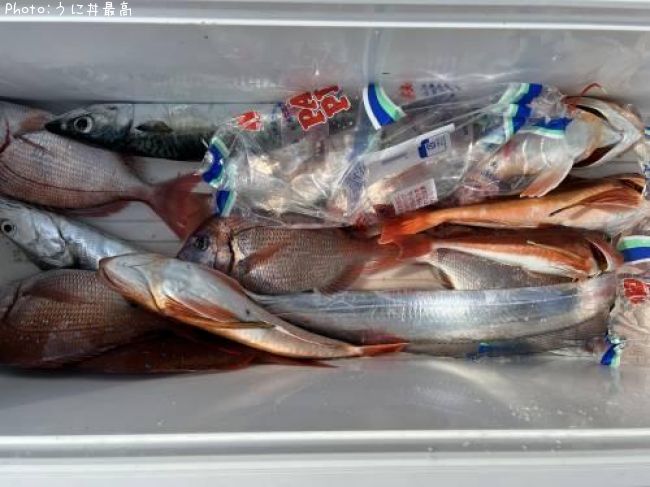 �����������ϥʥ������ۥ��ܥ������ʥ�����