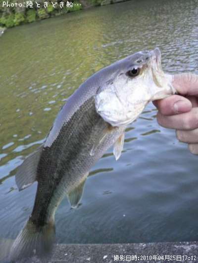 �֥�å��Х�