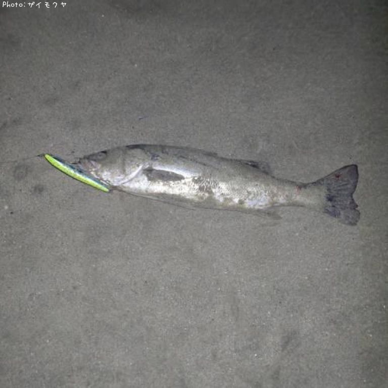 �����Х�