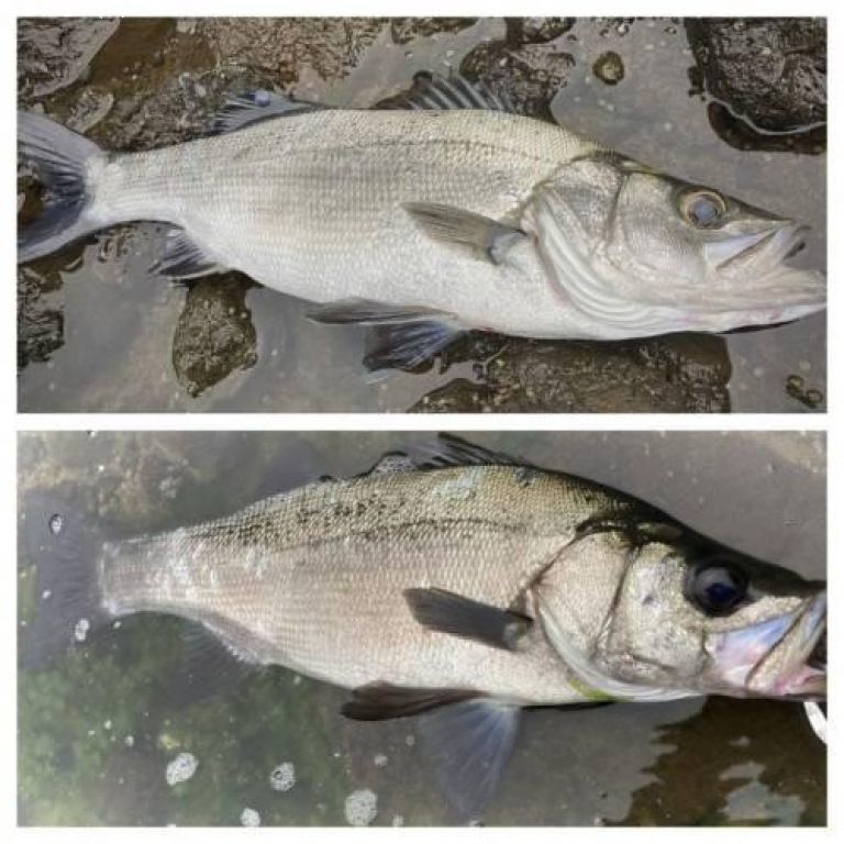 �ҥ饹����