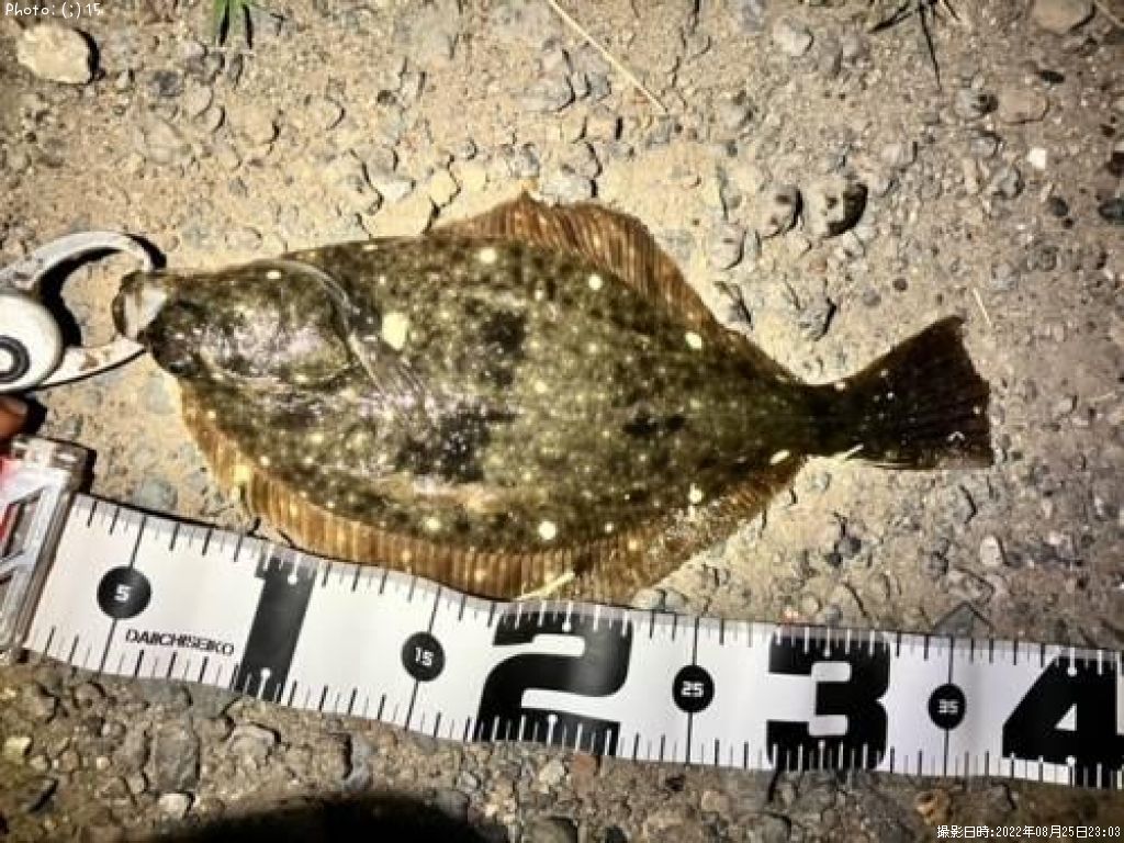 �ޥ��������쥤