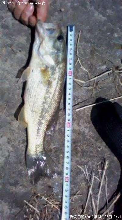 �֥�å��Х�