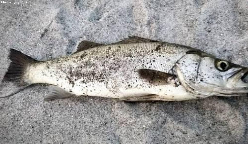 �ҥ饹����