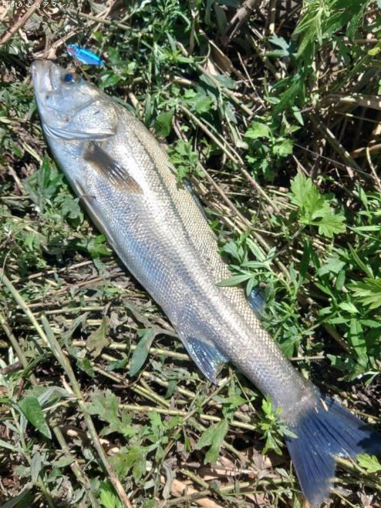 �����Х�