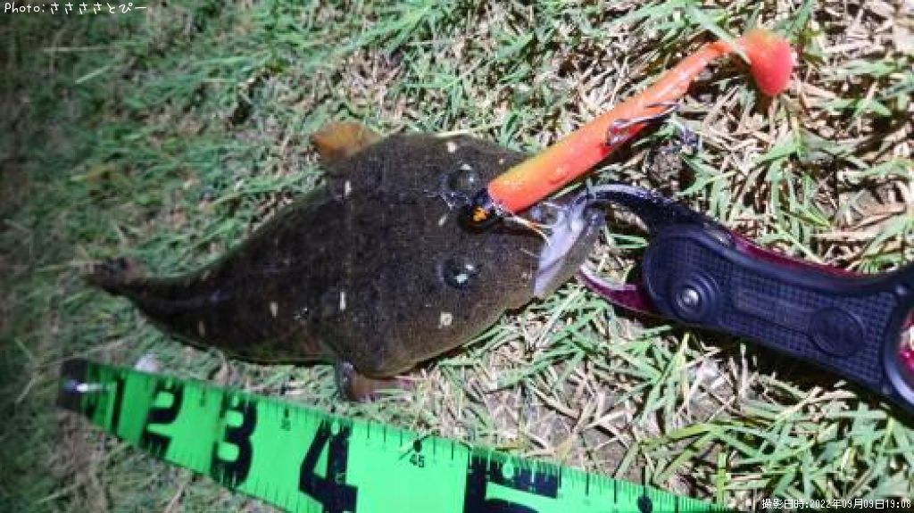 �ޥ��������ʤ�