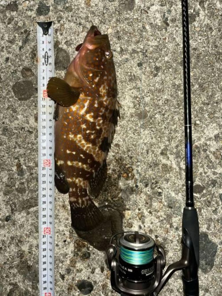 �����ϥ�