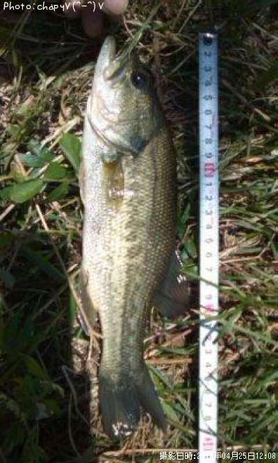 �֥�å��Х�