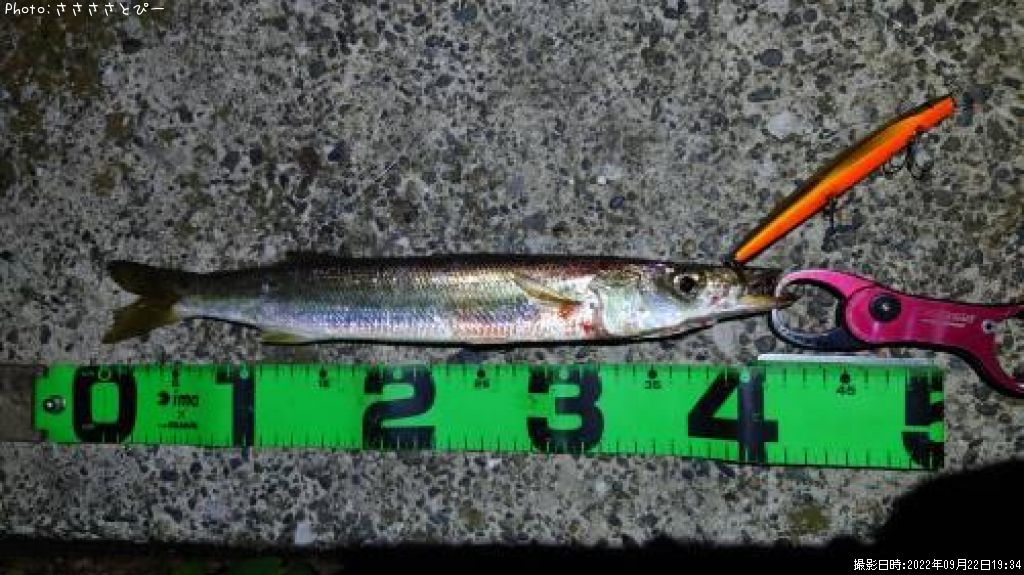 ���ޥ���������Х�