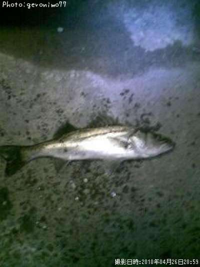 �����Х�